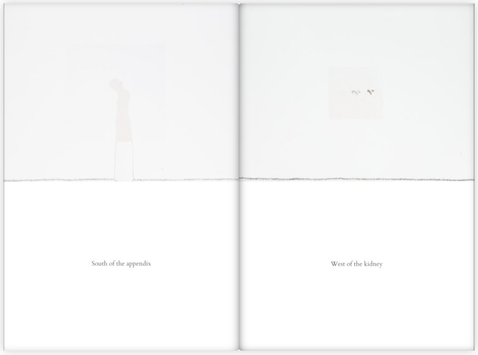 pageTracessite